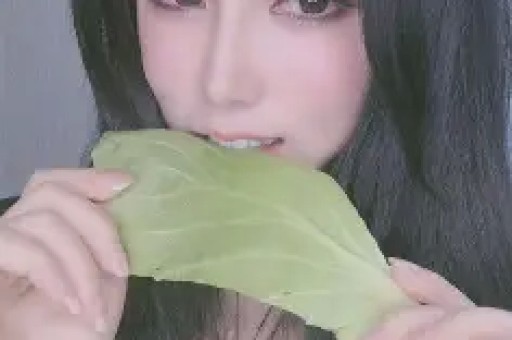 经典合集2023最新平台推荐与避坑攻略【哔哩哔哩】【bilibili】